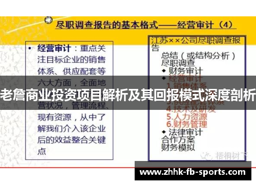 老詹商业投资项目解析及其回报模式深度剖析