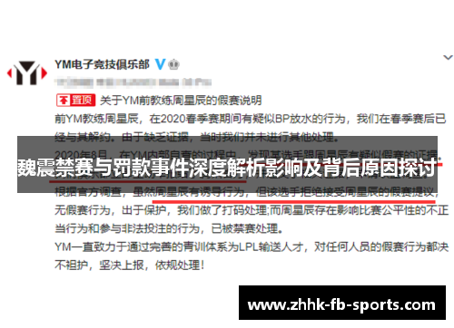 魏震禁赛与罚款事件深度解析影响及背后原因探讨