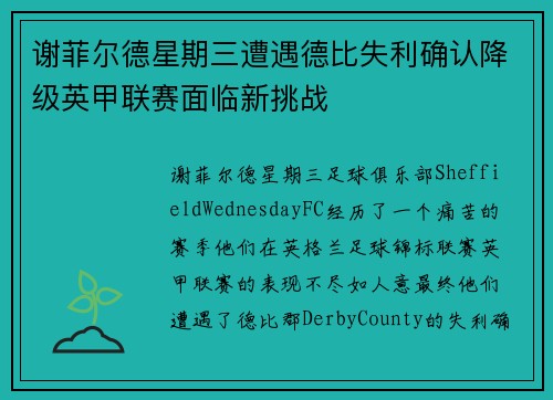 谢菲尔德星期三遭遇德比失利确认降级英甲联赛面临新挑战